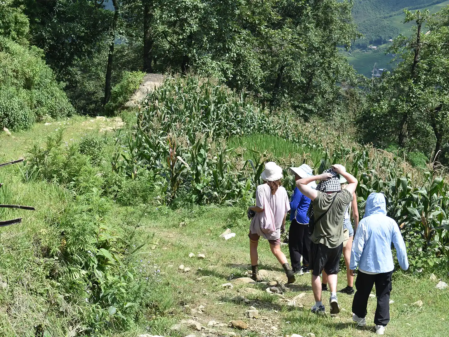 Lai Chau Trekking Tour 1 Day from Sapa